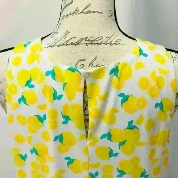 Pappagallo When Life Gives You Lemons Swing Mini Dress SZ Large Yellow White - Picture 7 of 11